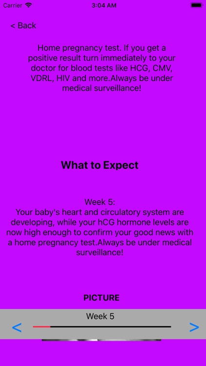 Pregnancy Guide and Calculator screenshot-3