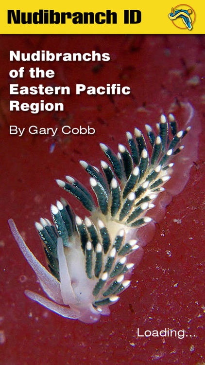 Nudibranch ID Eastern Pacific