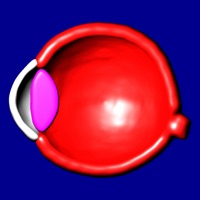 Eye Structure and Function apk