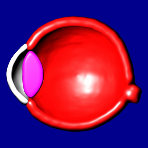 Eye Structure and Function icon