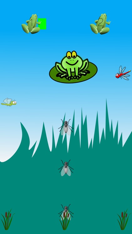 Frog and Flies