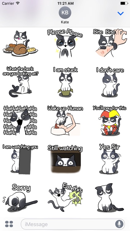 Cat Rule The World Stickers