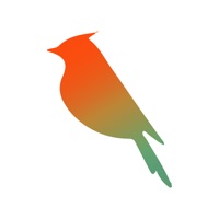 Bulbul CRM sur PC
