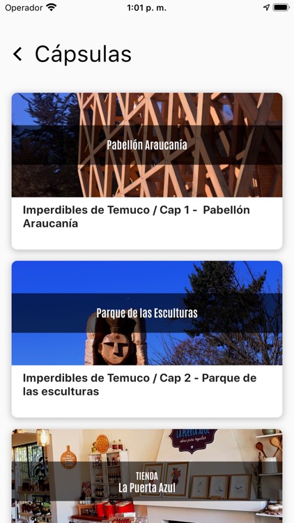 Temuco On Tour screenshot-6