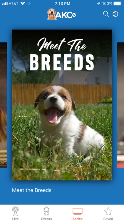 AKC.TV screenshot-3