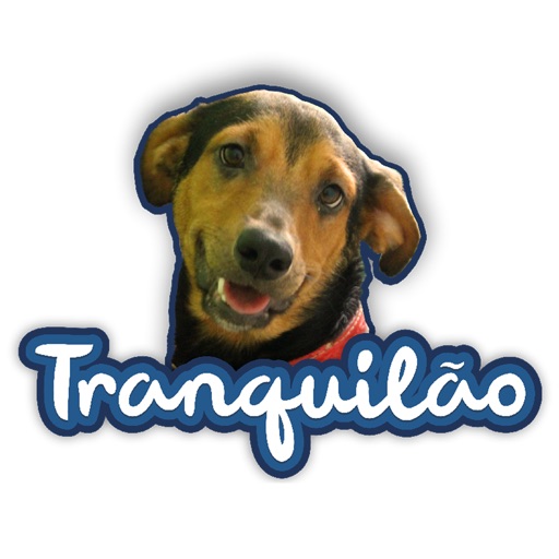 Tranquilão para Veterinário