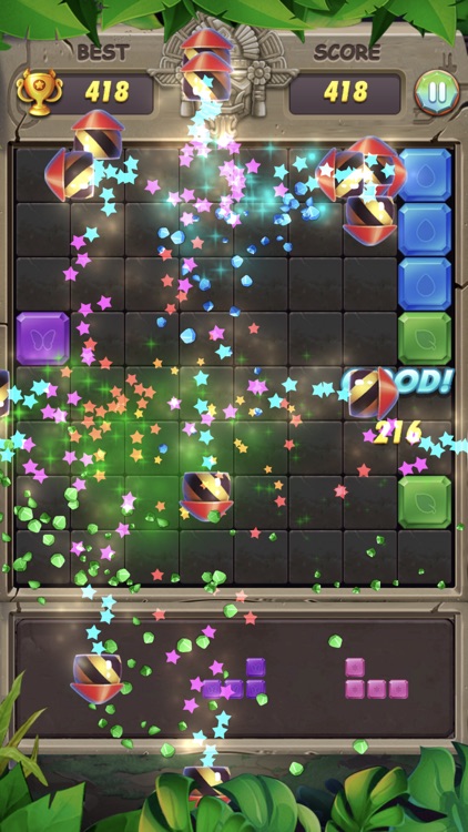 1010 Block King Puzzle