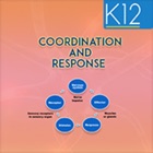 Coordination and Response
