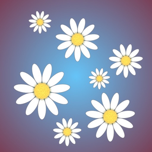 DaisyScene Little iOS App