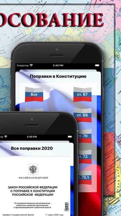 Конституция РФ Голосование screenshot 3