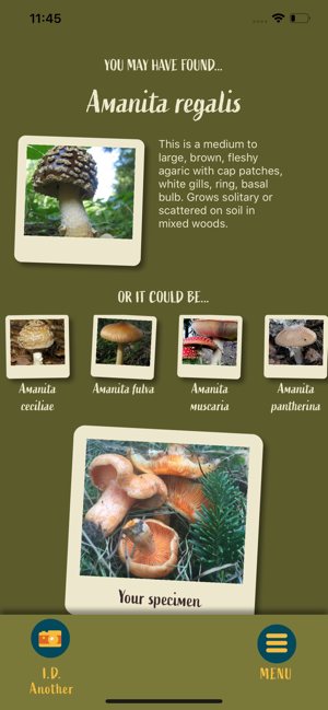 Snout: Mushroom Identification(圖7)-速報App