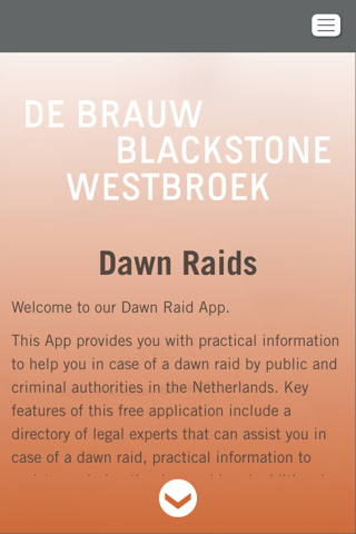 Dawn Raids screenshot 2