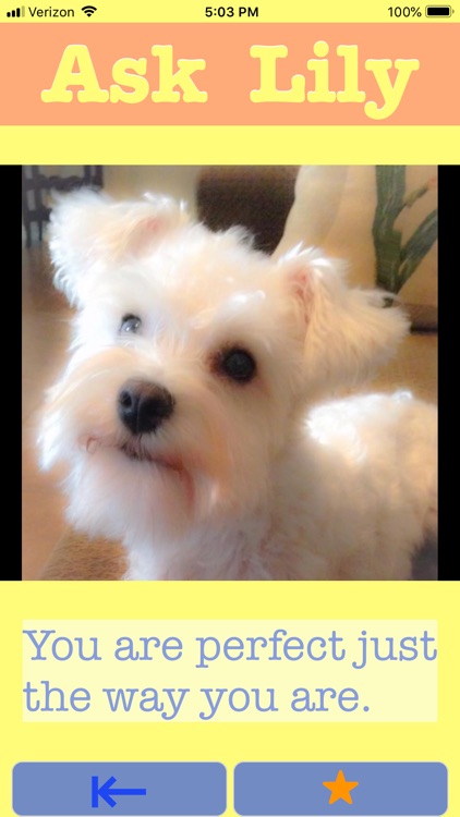 Ask Lily screenshot-5