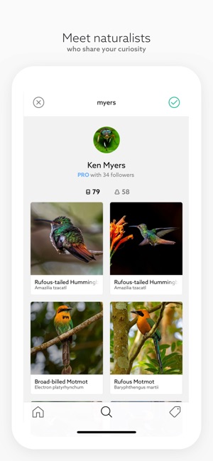 Birds by Fieldguide(圖4)-速報App