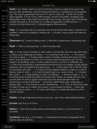 Captura de Pantalla 3 Words Lens iphone