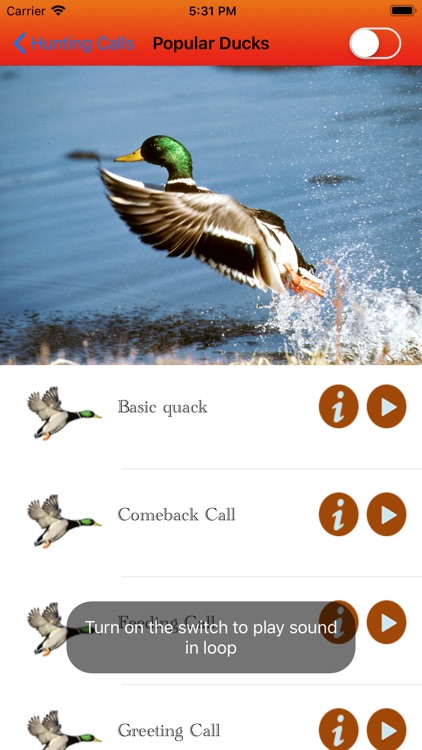 Duck Hunting Calls -