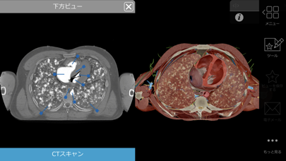 生理学と病理学 screenshot1