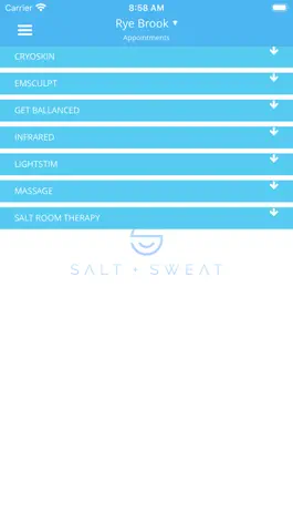 Game screenshot Salt + Sweat apk
