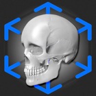 Top 29 Medical Apps Like AR Anatomy: Skeleton - Best Alternatives