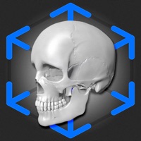 AR Anatomy Skeleton