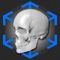 AR Anatomy: Skeleton, is a high detail and anatomically accurate app that covers the anatomy of the human skeleton