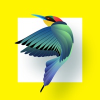 Bird Identification app not working? crashes or has problems?