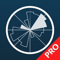 WINDY PRO: 天気予報 - 風、波、潮、嵐 apk