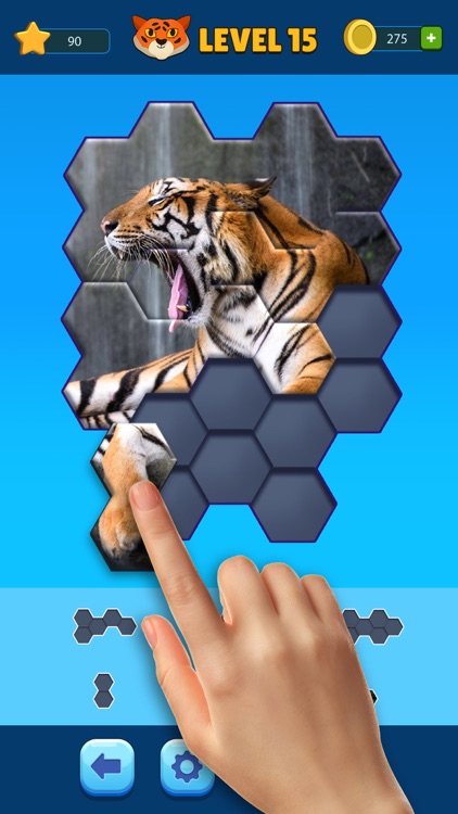 Hexa Jigsaw Puzzle™