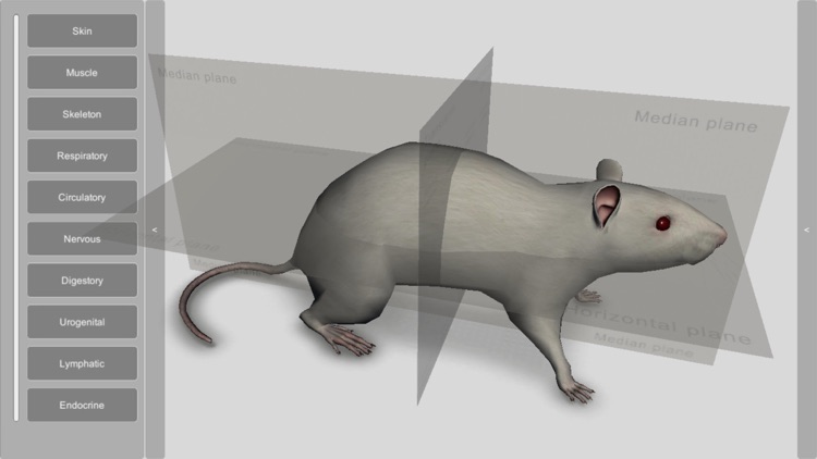 3D Rat Anatomy screenshot-0