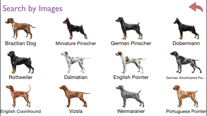 Dogs - Identification Guideのおすすめ画像2