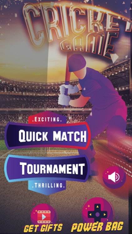 Fun Cricket 2019