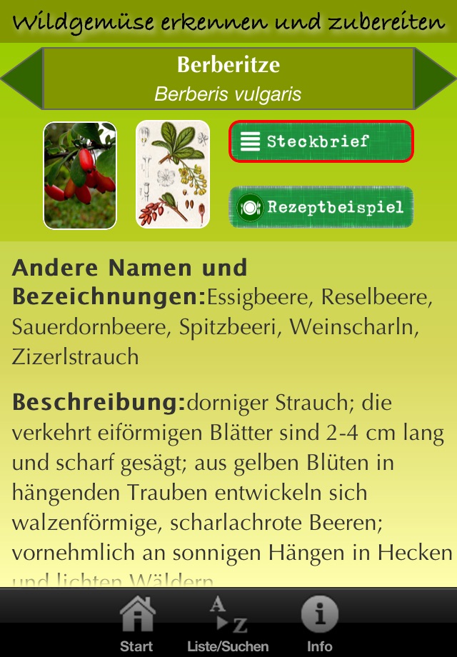 Wildpflanzen in der Küche screenshot 3