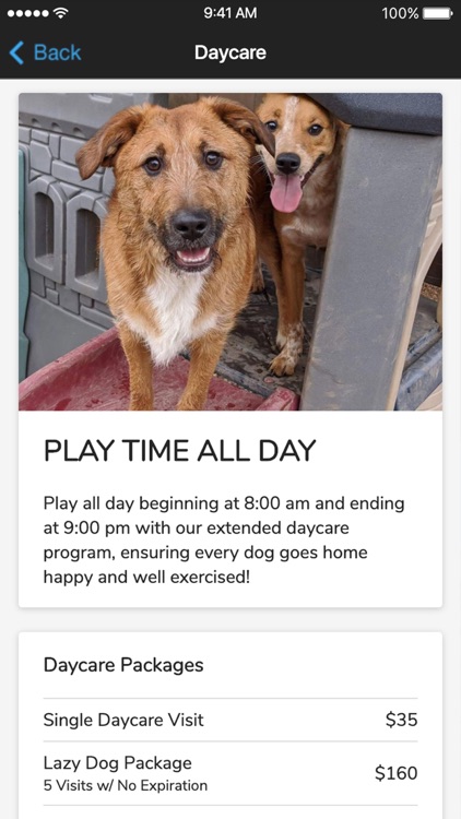 Woof Woof Daycare & Boarding