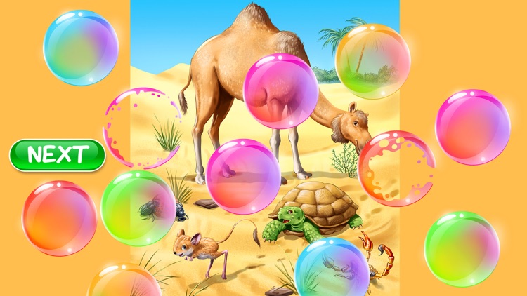 Puzzle games for kids: Animal screenshot-4