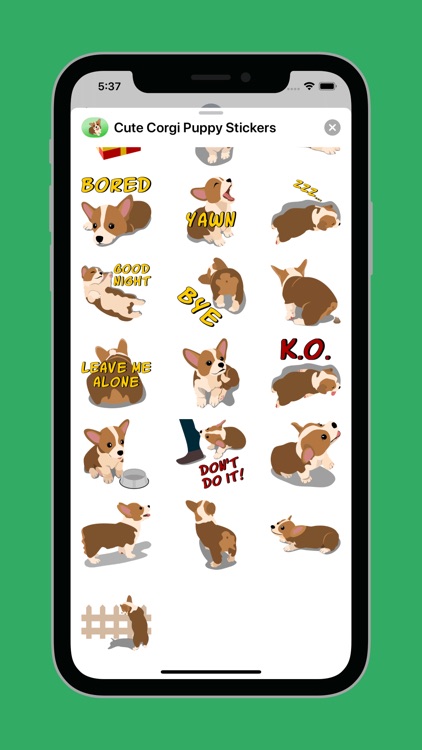 Cute Corgi Puppy Stickers