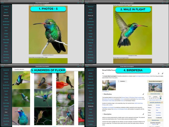 iBird Lite Guide to Birdsのおすすめ画像6