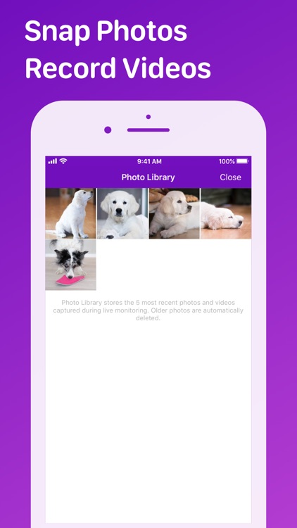 Pet Monitor VIGI screenshot-6