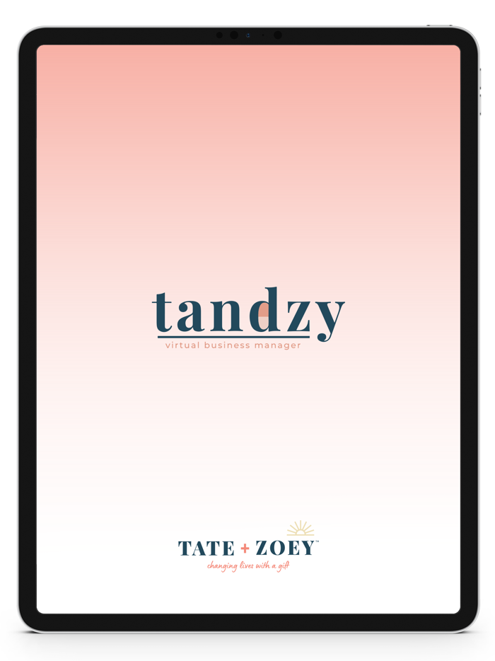 TANDZY MOBILE