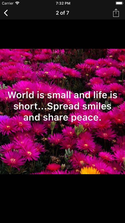 QC Lite screenshot-5