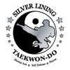 Silver Lining Taekwondo