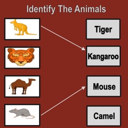 Identify The Animals