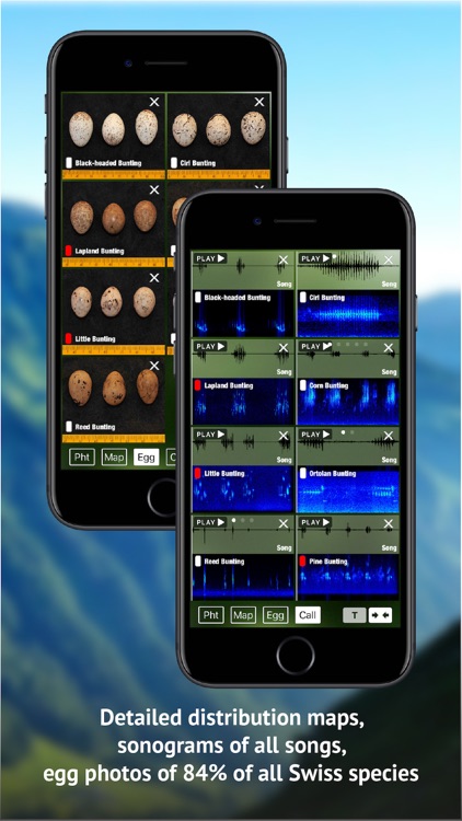 Birds of CH -Photo Guide screenshot-7