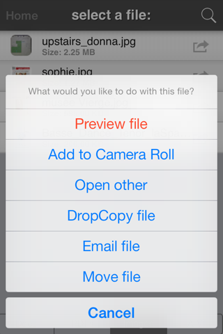 DropCopy mobile screenshot 4