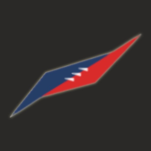MFL Platinum 2019