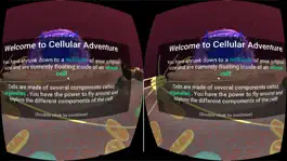 Game screenshot Cellular Adventure VR apk