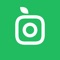 Instantly identify plants of all kinds: flowers, trees, succulents, mushrooms, cacti and more