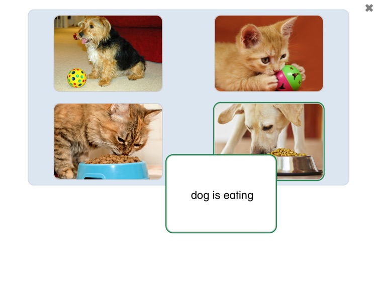 See and Learn Phrases 1 screenshot-7