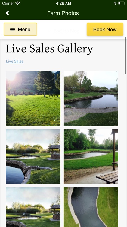 Cold Springs Trout Farm screenshot-3