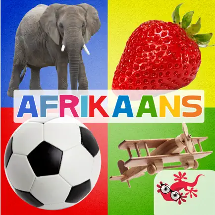 500+ Afrikaans flitskaarte Читы