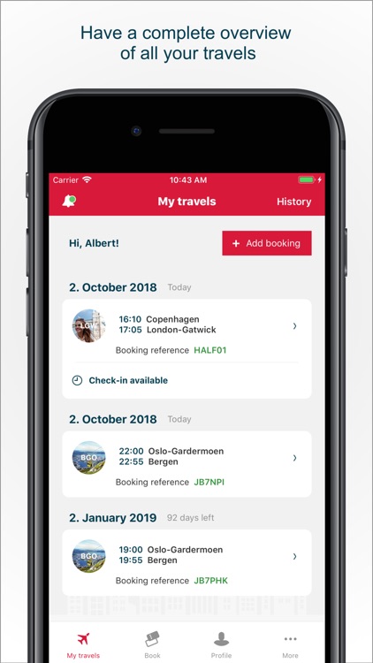 Norwegian Travel Assistant